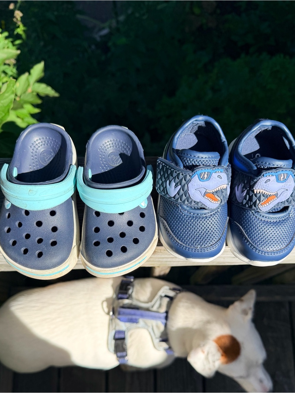 Toddler Bundle 3 pairs of shoes. Slip-On Clogs and Dinosaur Sneakers